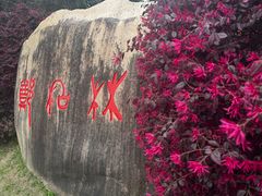-郑和公园