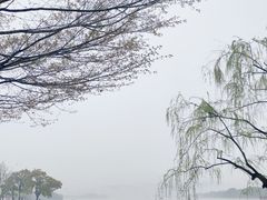 -西湖外事游船(湖滨二公园外事游船码头)