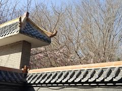 -哈密回王府景区