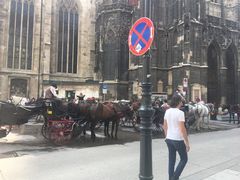 -斯蒂芬主教座堂(Stephansdom)