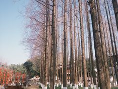 -东坡赤壁风景名胜区