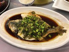 雪菜蒸大黃魚-银都上海菜馆(粤海东路店)