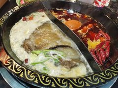 -渝大龙重庆火锅(温泉月亮湾店)