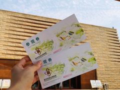 -盘龙城国家考古遗址公园