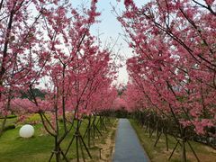 -福建鲤鱼洲酒店