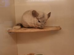 -龙猫仔乐园(惠福东路店)