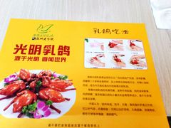 -南粤光明乳鸽(金钟店)