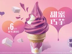 -麦当劳(岚皋路品尊国际店)