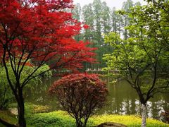 -洪湖悦兮半岛国际温泉度假村