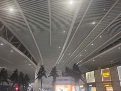 -青岛胶东国际机场
