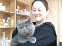 -小呆的宠物店·宠物售卖·宠物寄养(城西店)