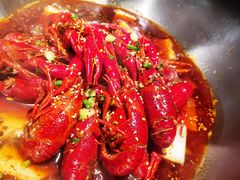 -湊湊火锅·茶憩(石家庄万象城店)