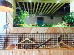 阿咪香韩国烧烤(天城路店)-正宗齐齐哈尔烤肉·齐牛哥鲜切炭火烤肉(杭州总店)