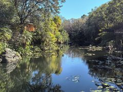 -奥兰多迪士尼动物王国乐园