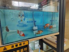 -爱牙联合口腔(门诊报销 海云庵店)