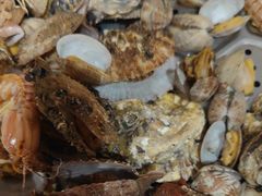 -映像威海·海鲜味道(经区店)