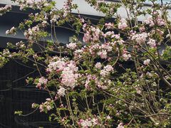 -北京奥林匹克公园