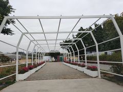 -长洲岛都市农业公园