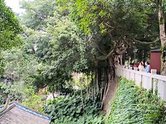 -乌山风景区