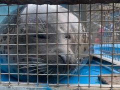 -泉城欧乐堡海洋极地世界