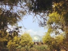-紫颐香薰山谷景区