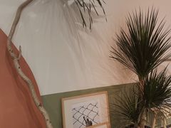 -Catch Bagel(芳草地店)