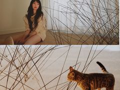 -胶囊画廊