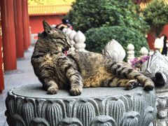 -广州莲花山旅游区
