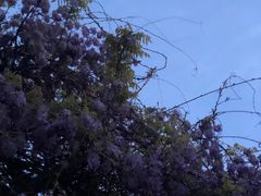 -郑和公园