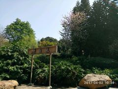 -昔士风中西餐厅(天河公园店)