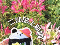 -二沙岛艺术公园