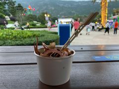 -珠海长隆海洋王国