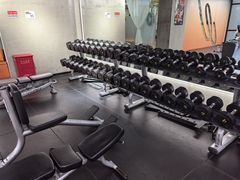 -健身专家Wellness Experts