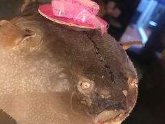 河豚火锅-萤初高端日料王(曲江银泰店)