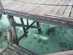 -马达京岛