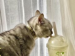 -迷客夏Milksha(无锡苏宁店)