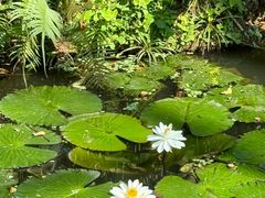 -中国科学院西双版纳热带植物园