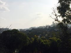 -恩阳古镇