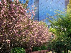 -天鹅湖体育公园