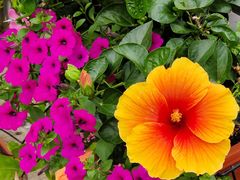 -苏州河梦清园环保主题公园