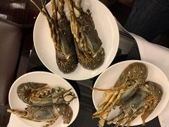 龙虾-圣丰索菲特·2 On 988 Café 自助餐厅