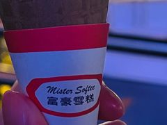 -富豪雪糕车流动点(尖沙咀店)