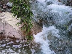 -西岭雪山大飞水景区