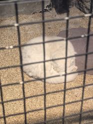 -酷嗒动物文化乐园(cutezoo西溪乐天城店)