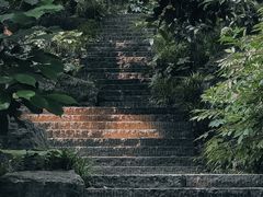 -习家池