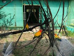 -沈阳鸟岛