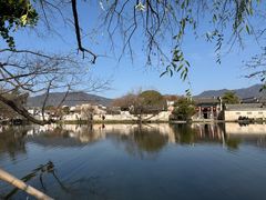 -缘来聚·徽菜名店(黄山宏村店)