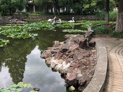 -中共上海市委党校 上海行政学院