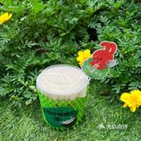 品牌升级又上新，6月书亦太火🔥爆