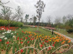 -江南大学(蠡湖校区)